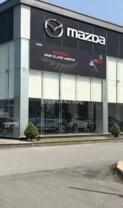 Cụm Showroom Thaco - Bình Dương